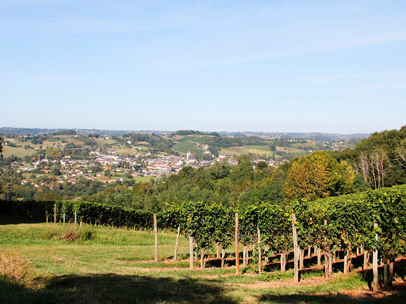 Monein vue vignes
