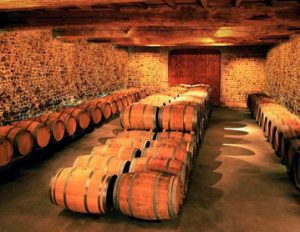 Invitation découverte