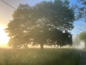 Repas du quatier Trouilh