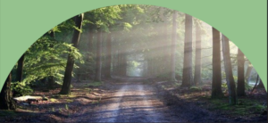 Conférence-Débat > Les chemins du deuil