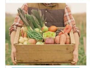 POUSS&rsquo;EN BÉARN > Réunion d&rsquo;information collective