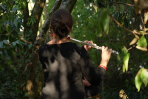 Spectacle Jardins Secrets
